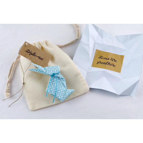 annonce-grossesse-annonce-original-demande-en-mariage-message-cache