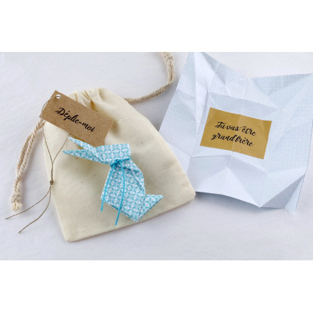 annonce-grossesse-annonce-original-demande-en-mariage-message-cache