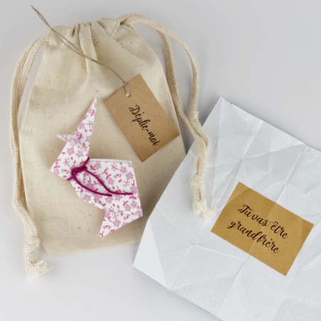 annonce-grossesse-annonce-original-demande-en-mariage-message-cache