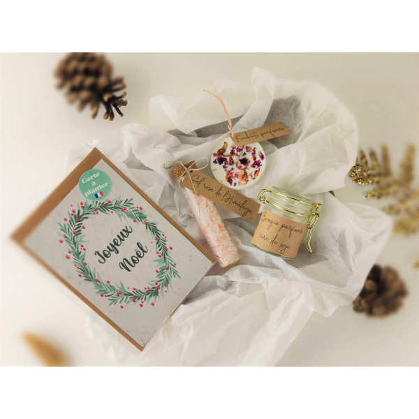 Box coffret cadeau Noël femme, fille, Nounou, Maitresse, carte à planter, bougie,  fondant, sel rose de l'Himalaya, cadeau clien