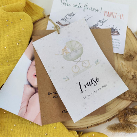 Faire part naissance a planter carrosse fille artisanal fait main Faire part naissance a planter carrosse fille artisanal fait main