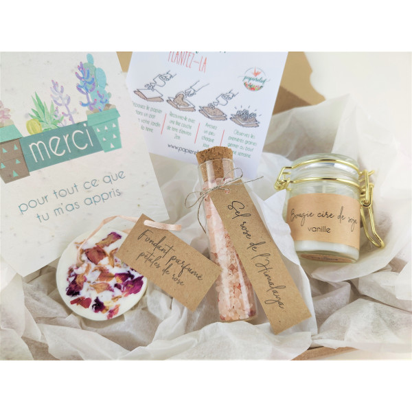 Box coffret cadeau artisanal maîtresse nounou atsem carte à planter, bougie,  fondant, sel rose de l'Himalaya, cadeau client
