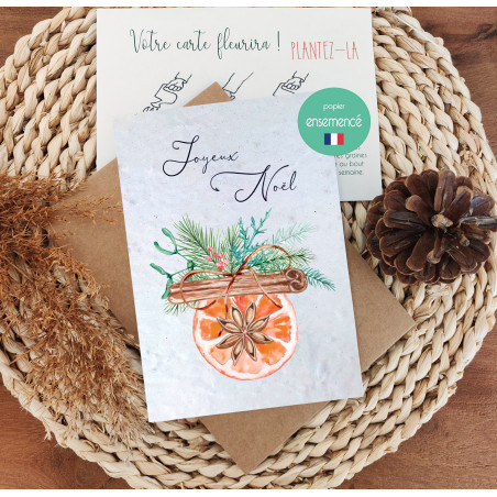 Lot de 4 Cartes à planter, Joyeux Noël, carte de voeux Noël en papier ensemencé