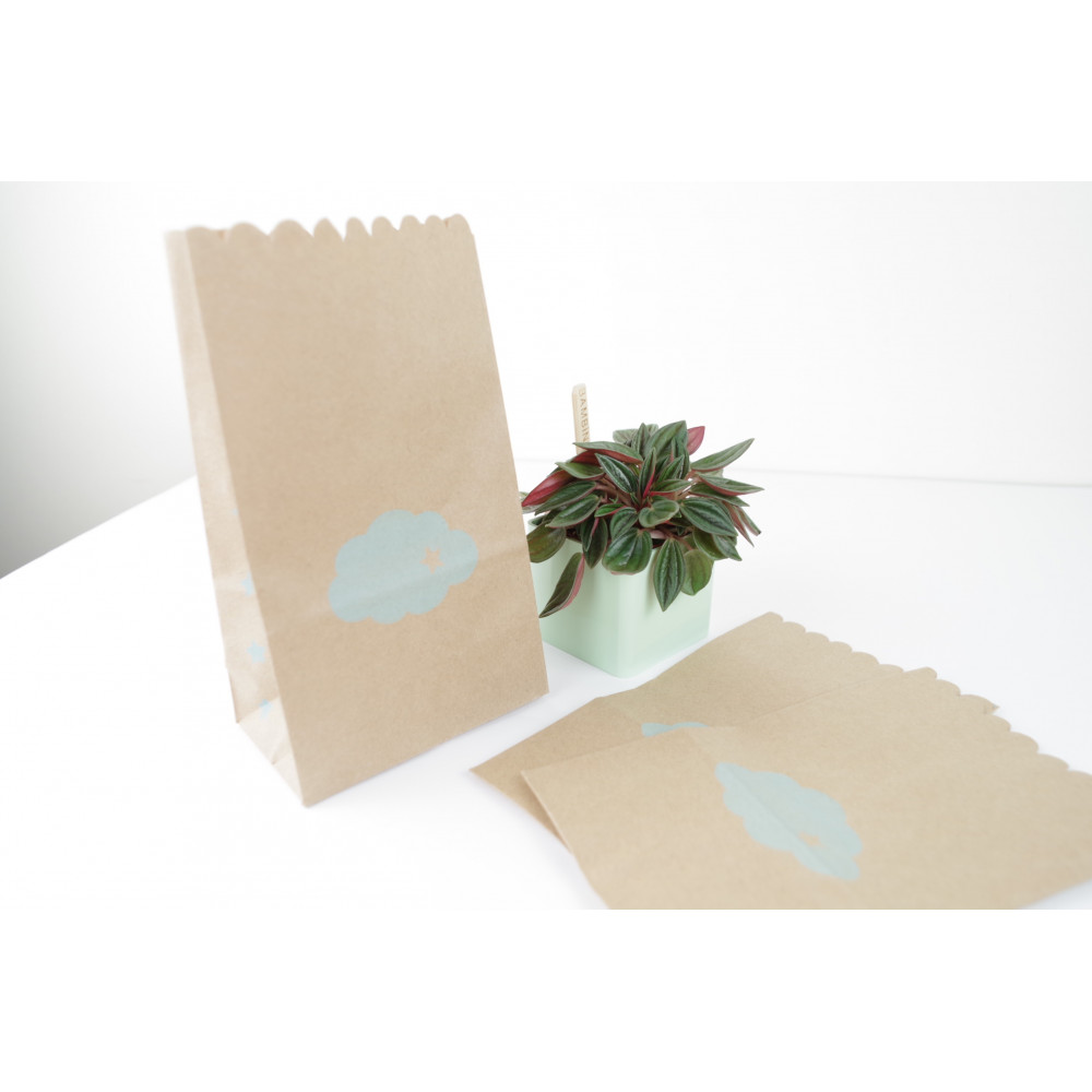 Sac Pochettes cadeaux (x 5) avec soufflet en papier kraft imprimé nuage bleu 11x19x6.5 cm cadeaux, bijoux, nourriture